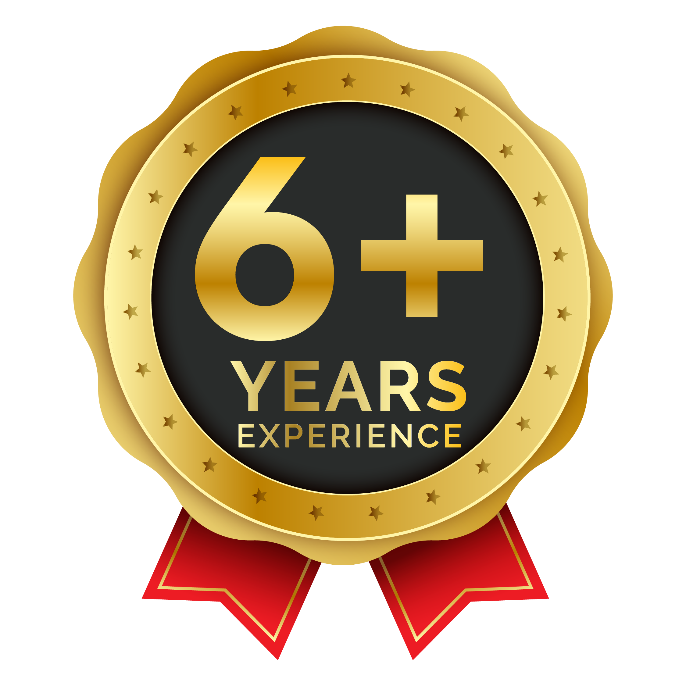 6+ Years Experience Badge